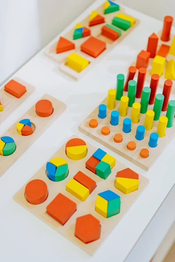 Montessori Toys